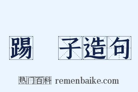 踢鞬子造句是什么意思的图片